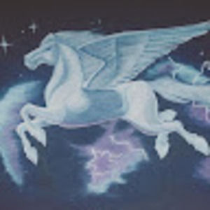 Meet your Posher, Sky